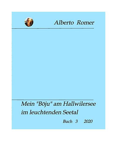 Mein "Böju" am Hallwilerseeim leuchtenden Seetal