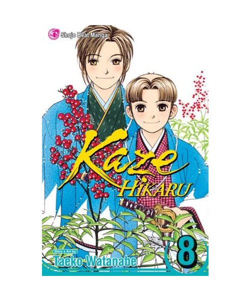 Kaze Hikaru, Volume 8