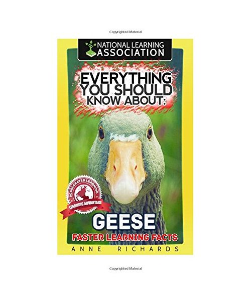 Everything You Should Know About: Geese Faster Learning Facts