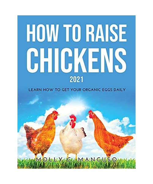 How to Raise Chickens 2021: Learn How to Get Your Organic Eggs Daily