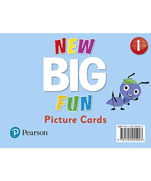 Big Fun Refresh Level 1 Picture Cards