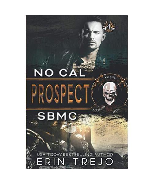 Prospect: Soulless Bastards MC (Soulless Bastards MC No Cal, Band 4)