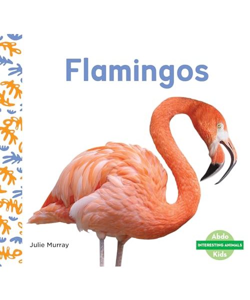 Flamingos