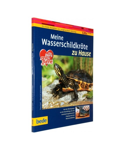 Meine Wasserschildkröte zu Hause