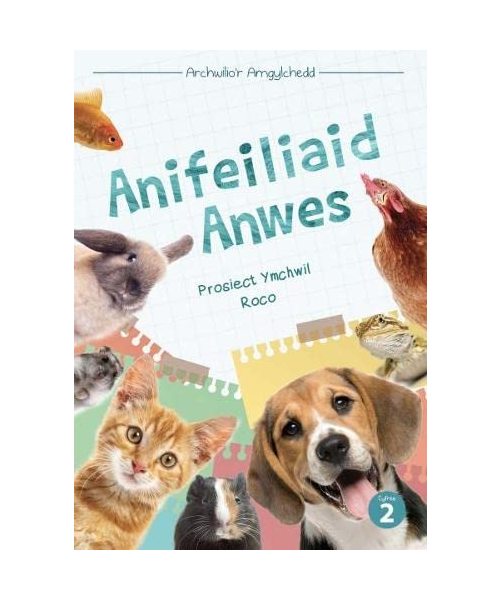 Cyfres Archwilio'r Amgylchedd: Anifeiliaid Anwes