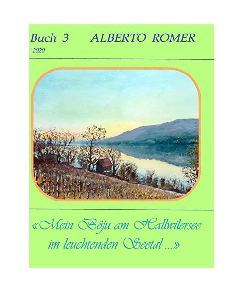 Mein "Böju" am Hallwilerseeim leuchtenden Seetal