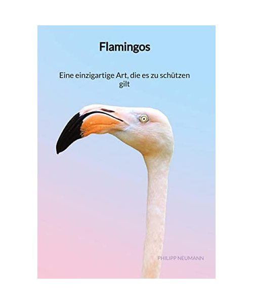 Flamingos - Eine einzigartige Art, die es zu schützen gilt