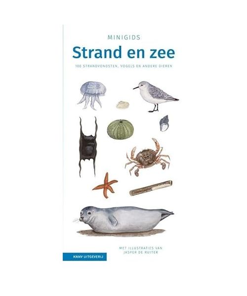 Set Minigids Strand en Zee: set van 3