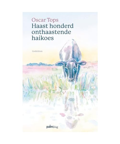 Haast honderd onthaastende haikoes