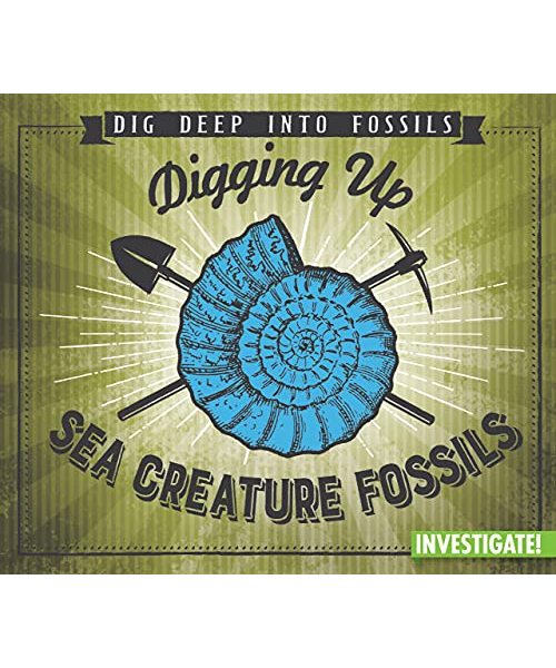 Digging Up Sea Creature Fossils (Dig Deep into Fossils)