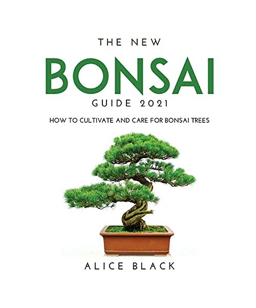 THE NEW BONSAI GUIDE 2021: How to Cultivate and Care for Bonsai Trees