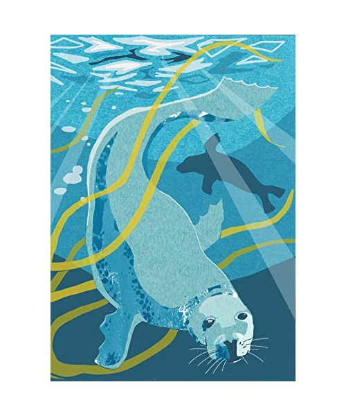 Nature Notebook: Seal