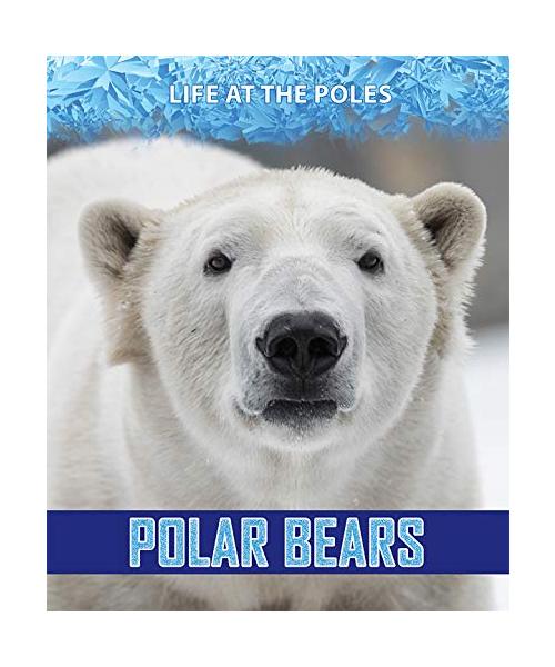 Polar Bears