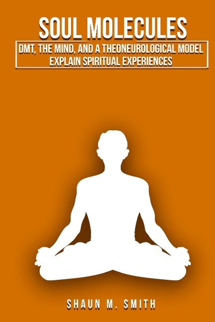 Soul Molecules: DMT, the Mind, and a Theoneurological Model