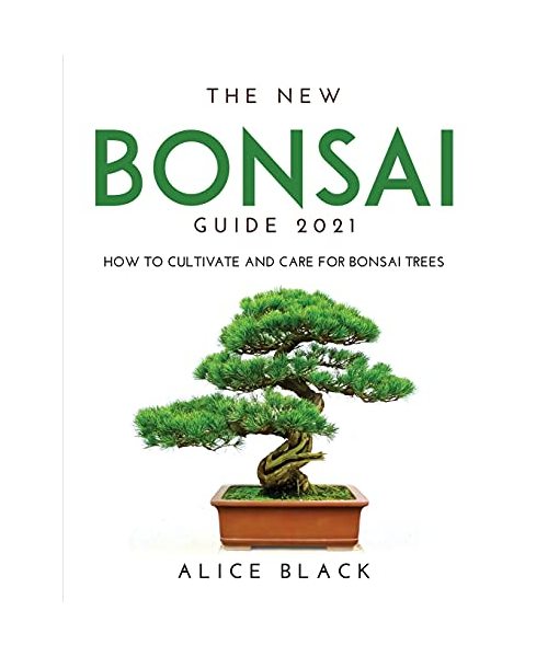 THE NEW BONSAI GUIDE 2021: How to Cultivate and Care for Bonsai Trees