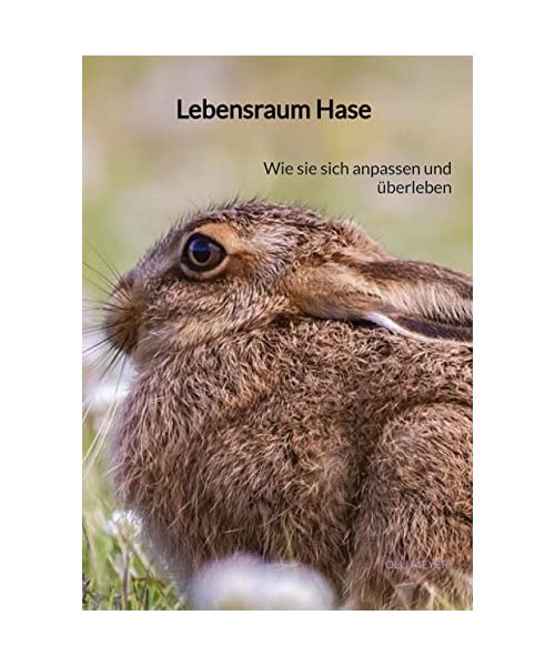 Lebensraum Hase
