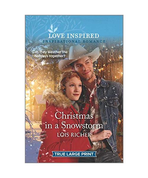 Christmas in a Snowstorm