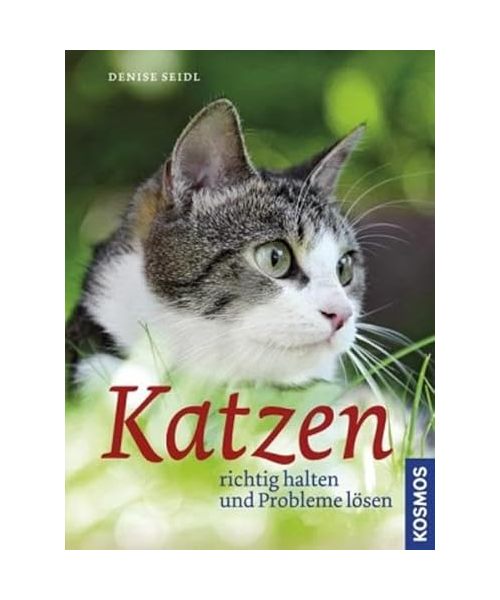 Katzen richtig halten und Probleme lösen