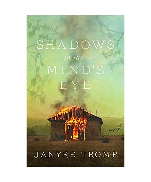 Shadows in the Mind's Eye