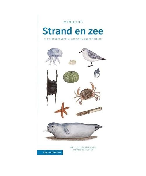 Minigids Strand en zee: 100 strandvondsten, vogels en andere dieren