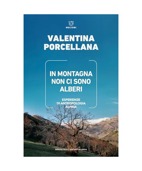In montagna non ci sono alberi. Esperienze di antropologia alpina
