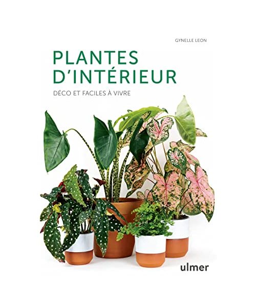 Plantes d'intérieur - Déco et faciles à vivre
