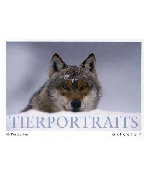 Tierportraits