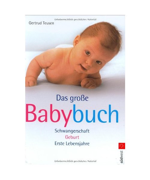 Das große Babybuch: Schwangerschaft. Geburt. Erste Lebensjahre