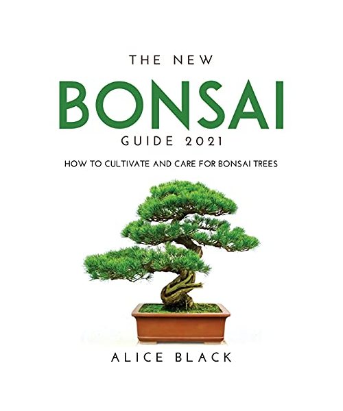 THE NEW BONSAI GUIDE 2021