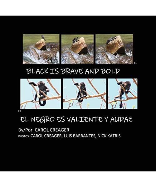 Black is Brave and Bold: El Negro Es Valiente Y Audaz
