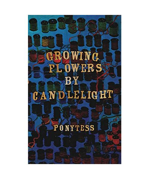 Growing Flowers By Candlelight