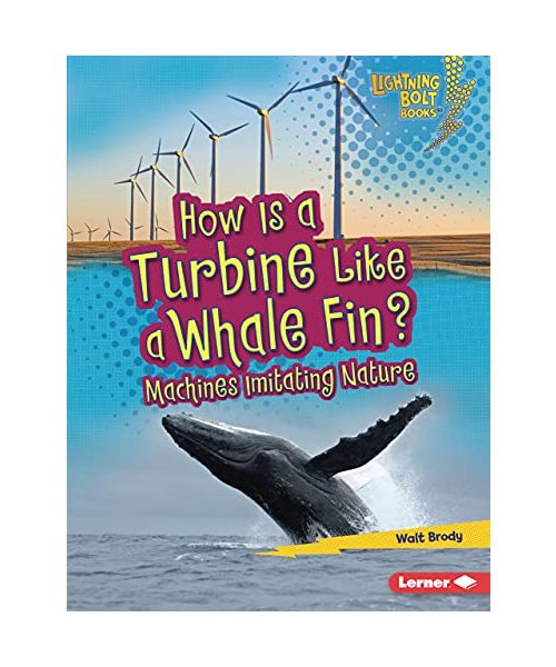 How Is a Turbine Like a Whale Fin?