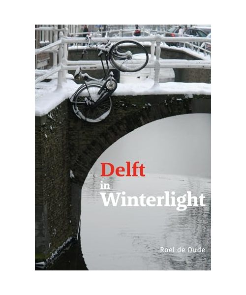 Delft in Winterlight