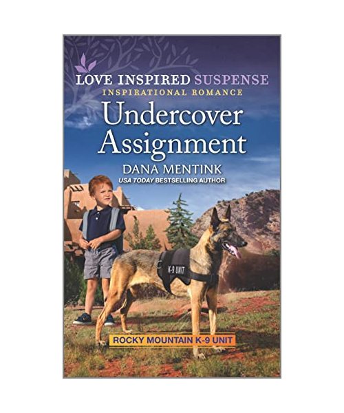 Undercover Assignment