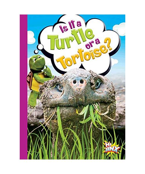 Is It a Turtle or a Tortoise?