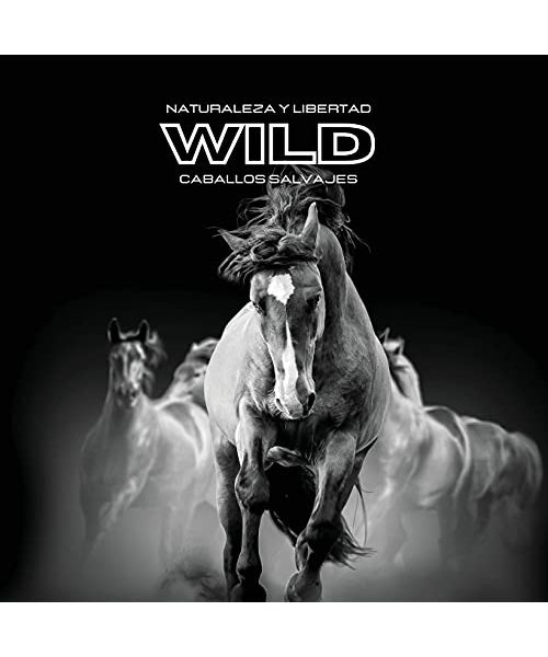 Naturaleza y Libertad WILD Caballos Salvajes: Álbum de fotos en color. Idea de regalo para los amantes de los animales y la naturaleza. Libro de fotos con temática de caballos.