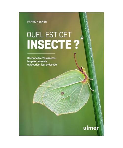 Quel est cet insecte ? - Reconnaître 75 insectes les plus courants et favoriser leur présence