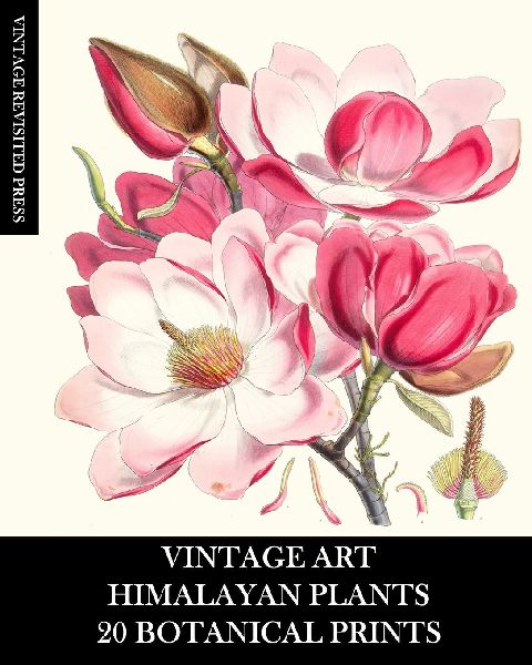 Vintage Art