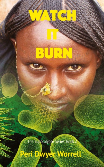 Watch it Burn