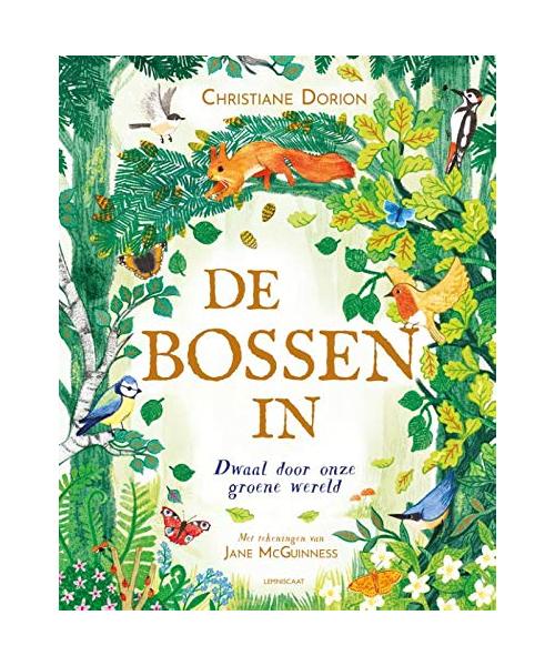 De bossen in: dwaal door onze groene wereld