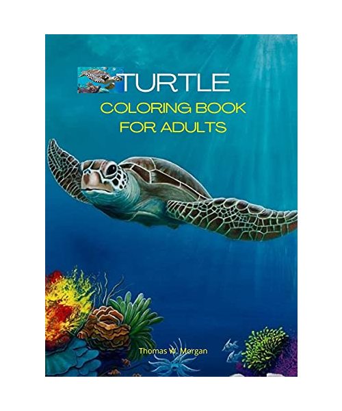 Turtle Coloring Book for Adults: Stress Relieving Turtle Designs for Adults 46 Premium Coloring Pages with Amazing Designs An Adults Turtle Coloring B