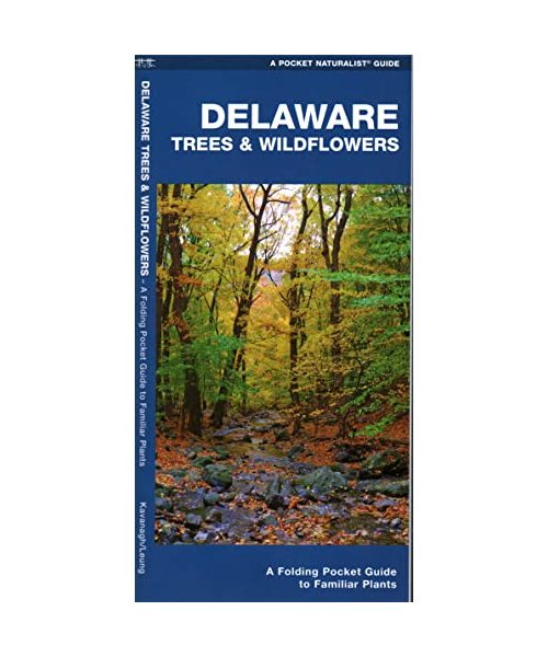 Delaware Trees & Wildflowers: A Folding Pocket Guide to Familiar Species