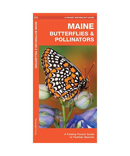 Maine Butterflies & Pollinators: A Folding Pocket Guide to Familiar Species