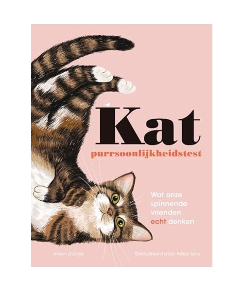 Kat: purrsoonlijkheidstest : wat onze spinnende vrienden echt denken