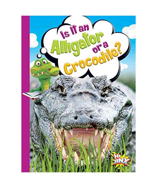 Is It an Alligator or a Crocodile?