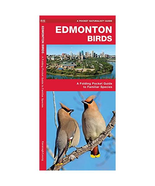 Edmonton Birds: A Folding Pocket Guide to Familiar Species