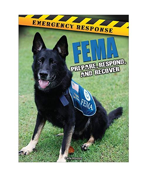 FEMA