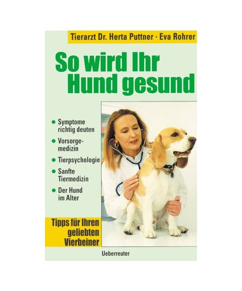 So wird Ihr Hund gesund