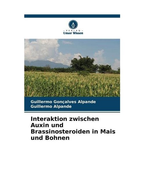 Interaktion zwischen Auxin und Brassinosteroiden in Mais und Bohnen