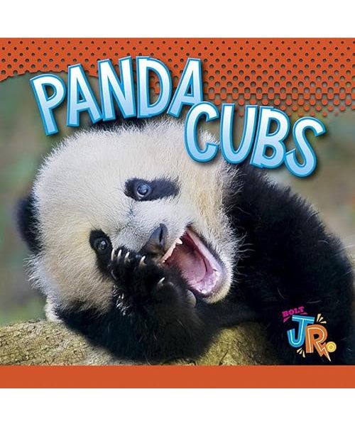 Panda Cubs